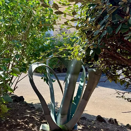 Appartement De Charme - 6pers - Histoire De Clés